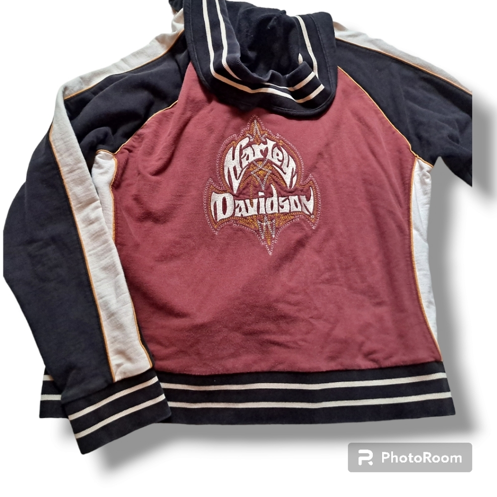 Vintage Harley Davidson long sleeve zip up hoodie y2k